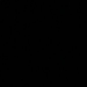 Meet your Posher, Dalton